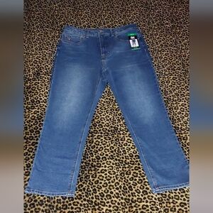 Frye Women's Classic Indigo Straight Leg Jeans